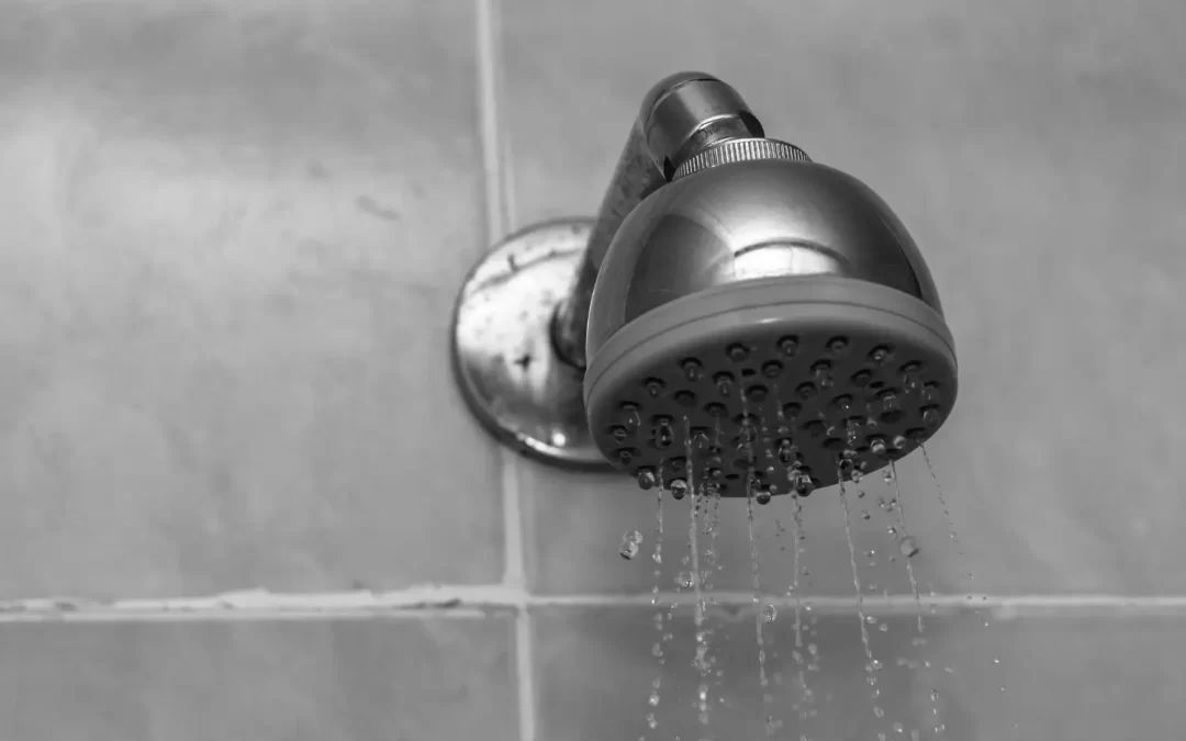 How to Spot and Fix Leaking Showers in Mandurah